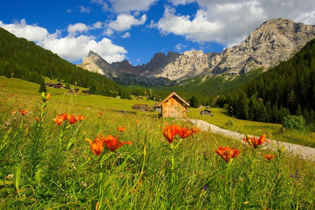 Relais San Giusto Hotel Campitello di Fassa Exterior photo